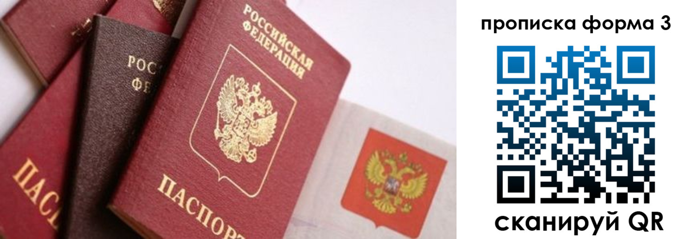 прописка в Курске