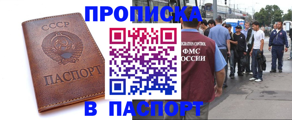 временная регистрация поиск в Курске